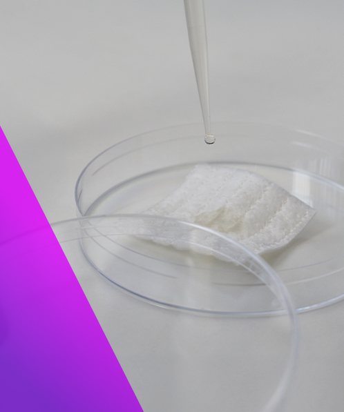 Microbiology lab testing methods for bacteria and fungi - Virologica